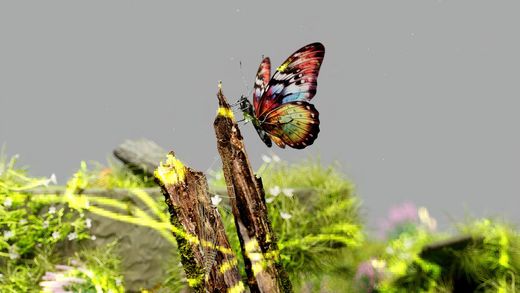feature image